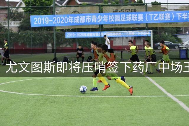 尤文图斯即将压哨签下药厂中场王牌 转会费结构细节曝光